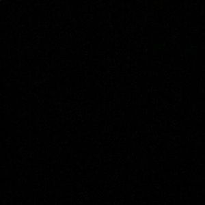 Meet your Posher, Ella